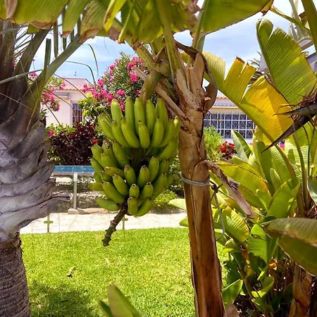 Sunnypalms Casa Mar 22 Holiday home Playa del Ingles (Gran Canaria)